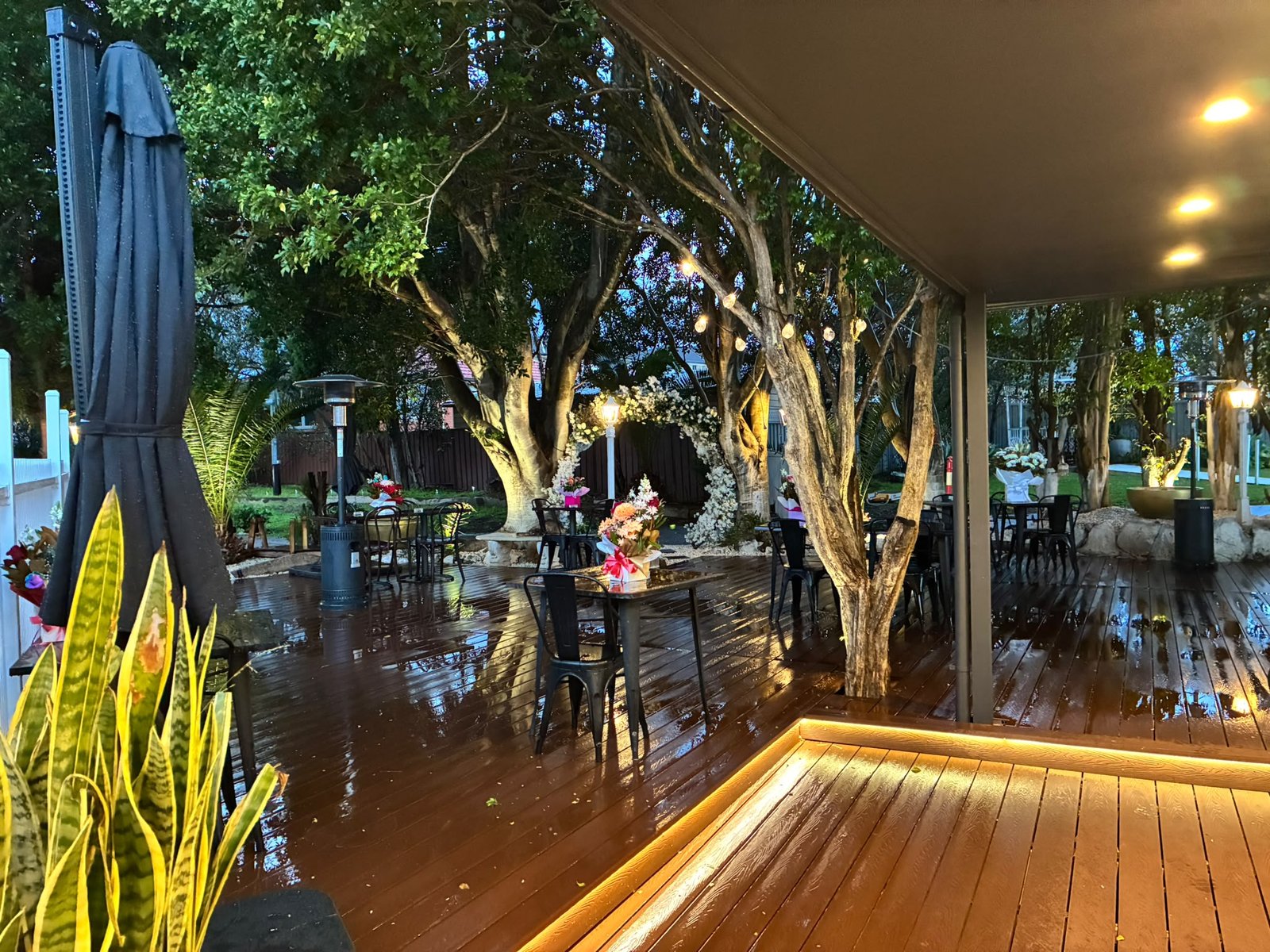 Twilight view of the illuminated outdoor timber deck with warm glowing step lights and canopy under mature trees